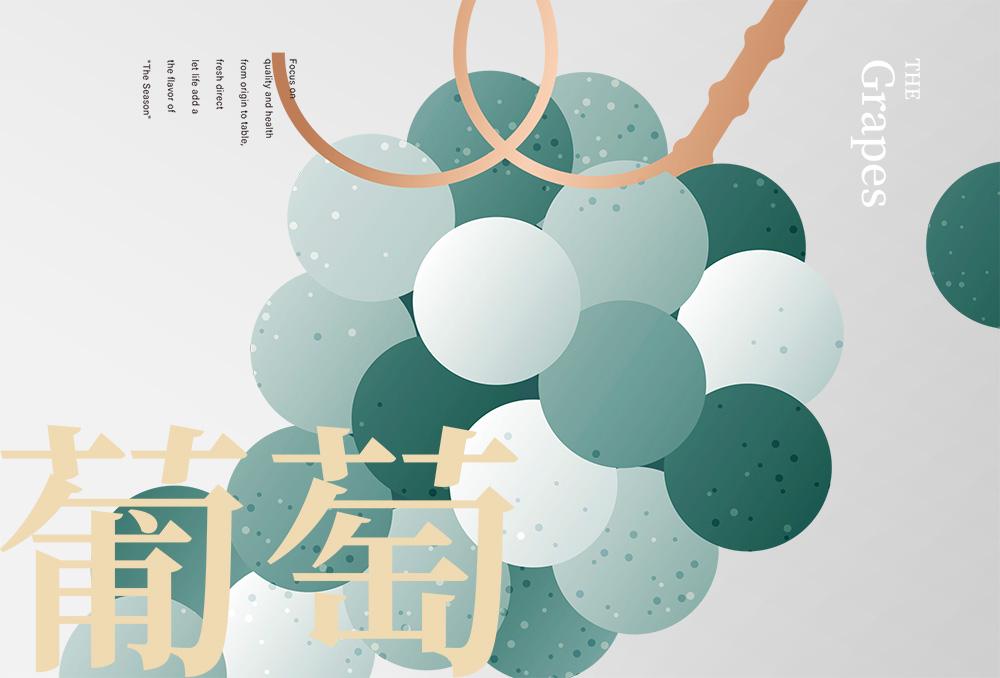 農禾四季精緻水果禮盒設計 作品圖 3