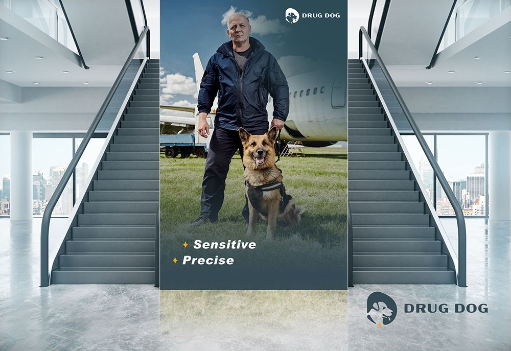 DRUG DOG 品牌設計 作品圖 8