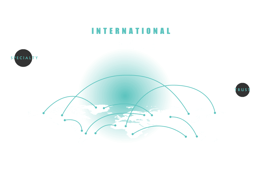 banner-3.png
