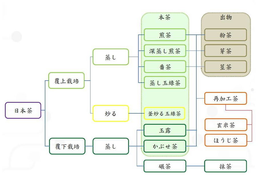 日本茶種類說明