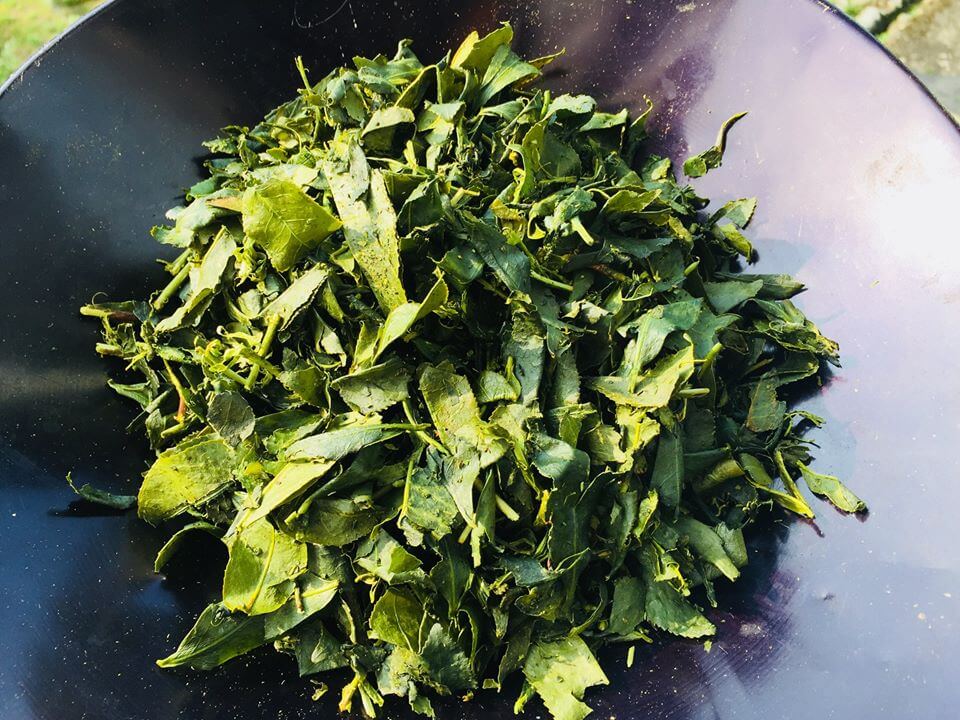 2018-05-05 4.jpg
