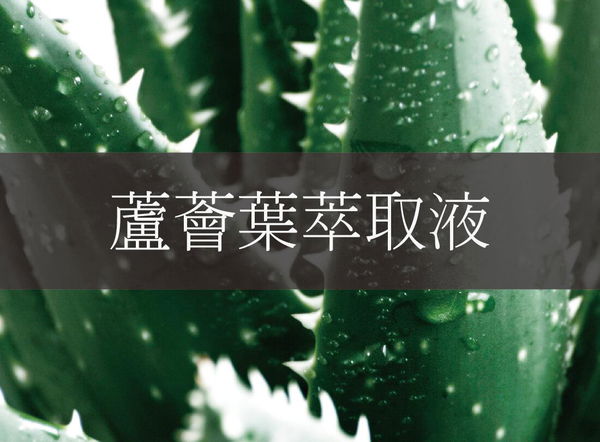 含有舒緩、保濕和治癒的特性,具有消炎、殺菌、抗氧化的功效。