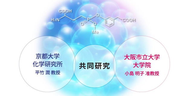 由日本京都大學以及大阪市立大學共同研發的新型抗老化原料「Nahlsgen」