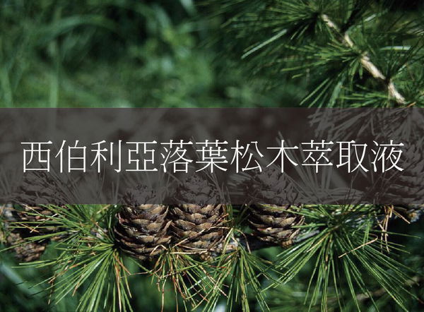 具有極強的抗氧化和美白作用,可淡化色斑,均勻和恢復皮膚光澤。