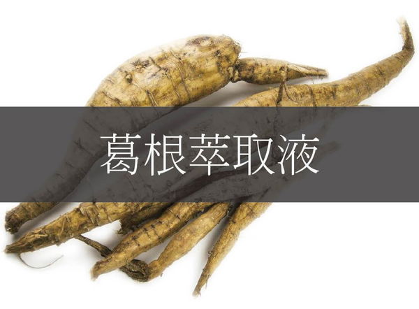 是天然的漢方草本精華,富含 蛋白質、氨基酸、糖、葛根素和鐵、鈣、銅、硒等微量元素,具有良好的美白功效。
促進彈性蛋白和膠原蛋白生成,提升保濕能力,具舒緩、安撫效用。能抗自由基,延遲老化,增強皮膚自我保護和修復能力。