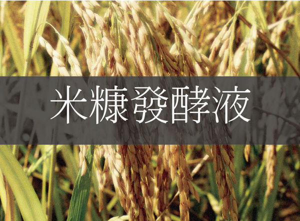 由秋田銘釀(株)與秋田縣綜合食品中心的共同研究下,發現在酒造工程中發生的米糠中含有美容的功效,並可發揮保水效果。