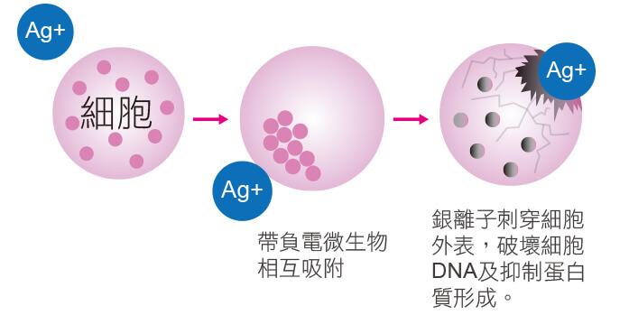 knowledge-img-6.jpg