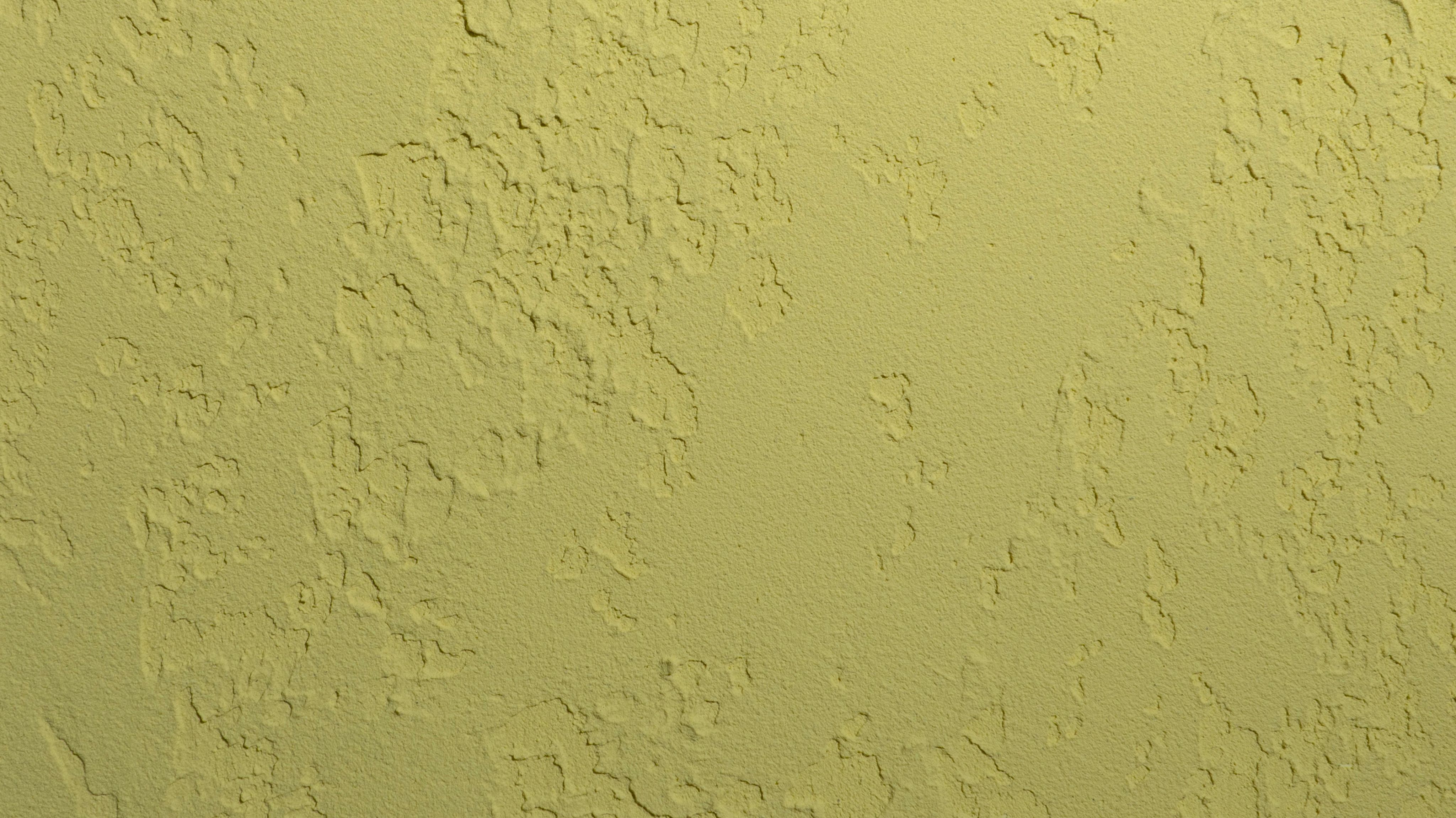 LR04露晨.jpg