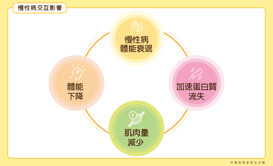 肌少症01.png