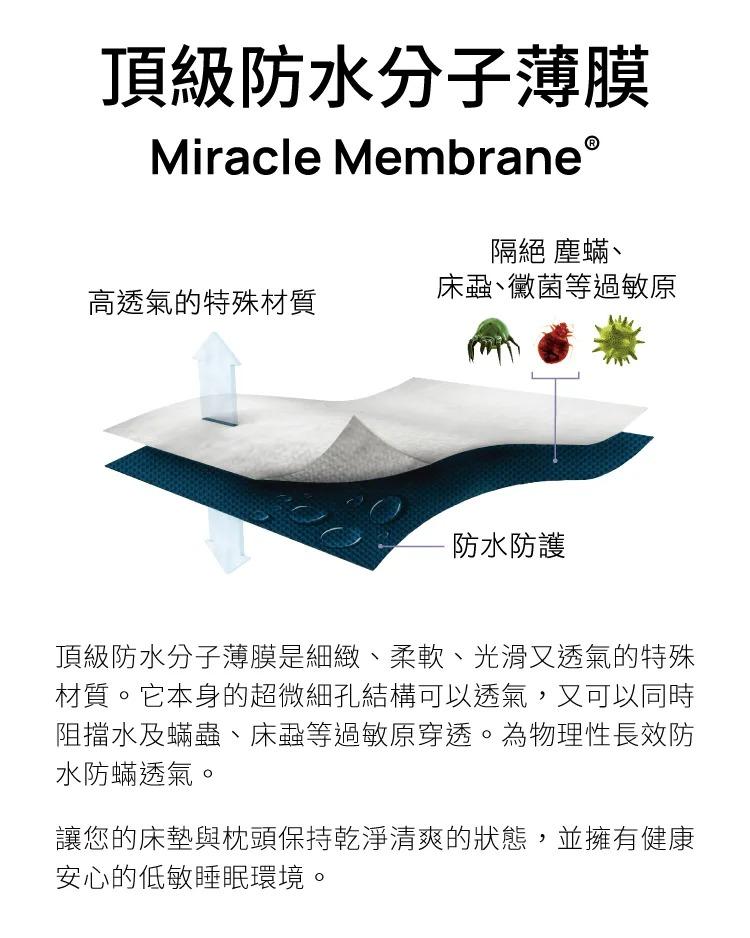 西班牙天絲防蟎枕套04.jpg