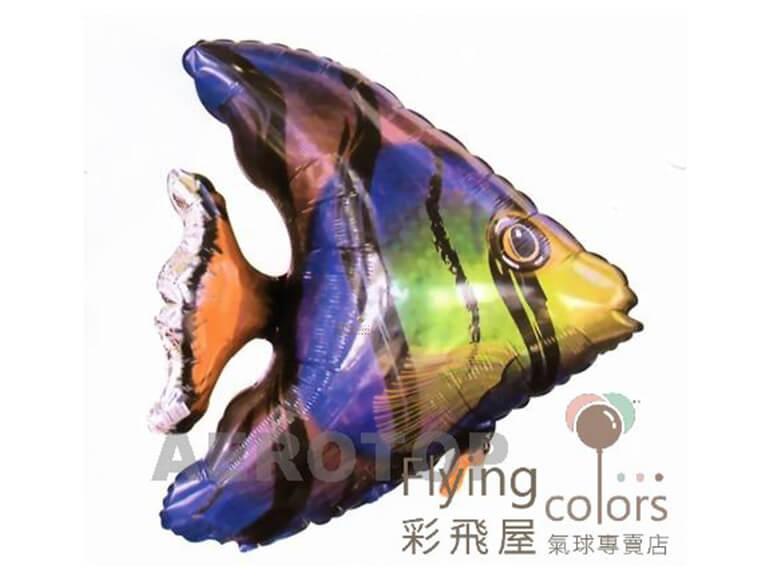 35 吋 Exotic Fish(89cm)