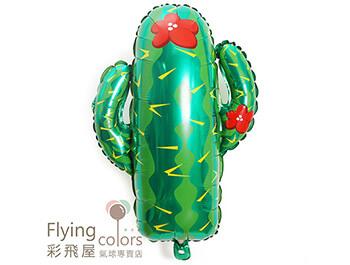 ஐ仙人掌造型(67cm*62cm)