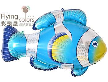 藍色小丑魚 (86cm*62cm)