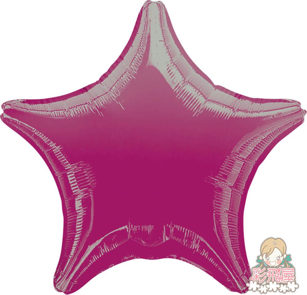 (原圖)31566-metallic-fuchsiaFoil balloon.jpg