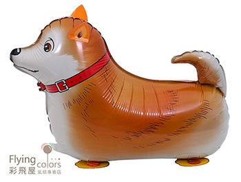 寵物散步氣球-柴犬(60*41cm)