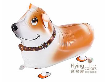 寵物散步氣球-柯基犬(60*32cm)