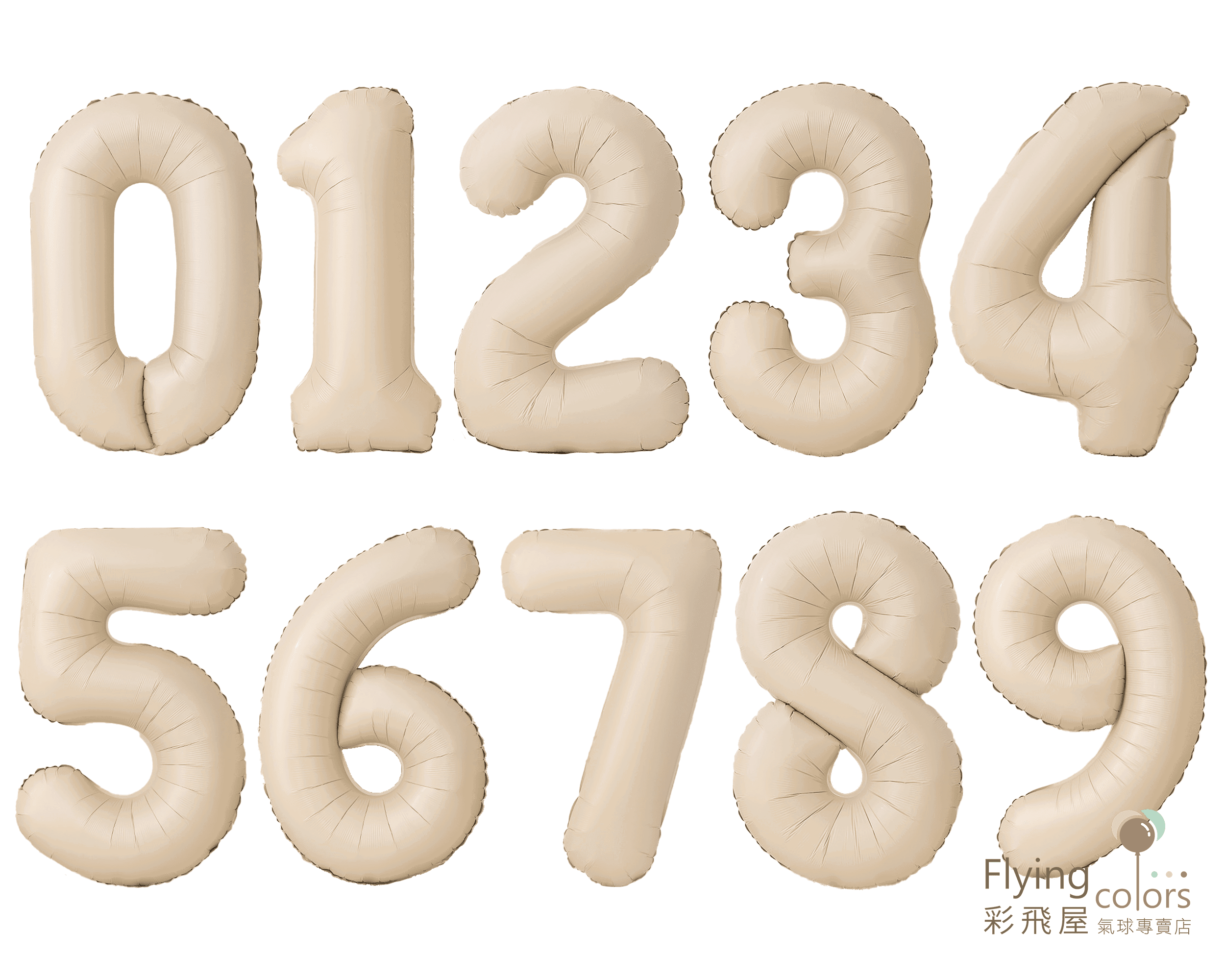 CE08121-all.png