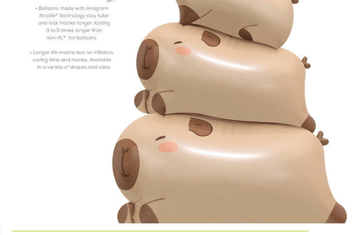(原圖)CE09767:CE09769-8.png