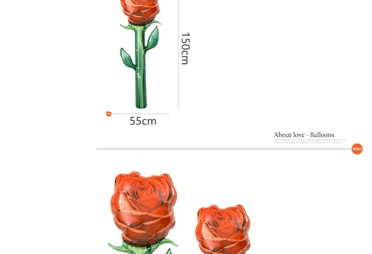 CE0133 019.png