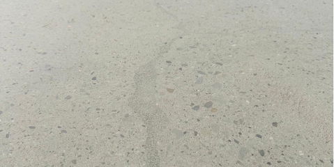 施_IMG_6103.JPG