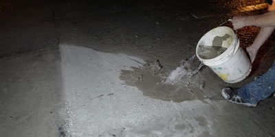 1100x550 L1130769.JPG