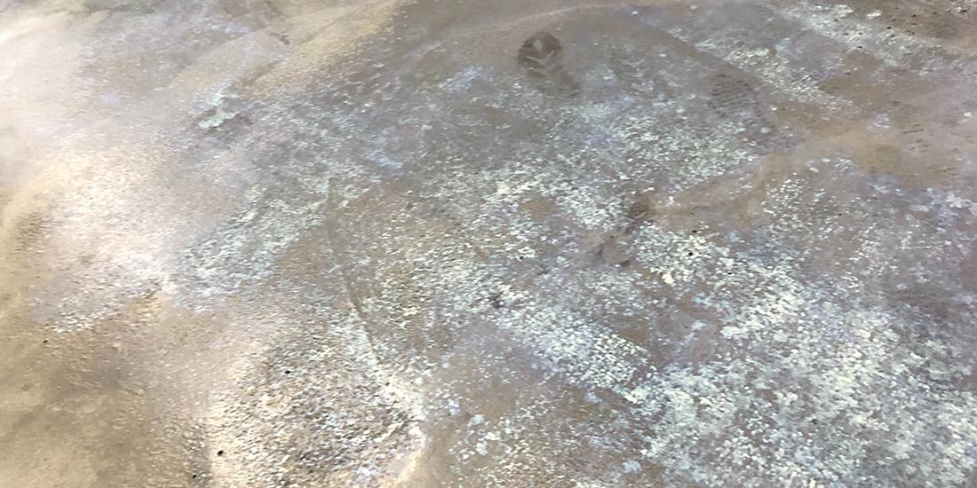 1100x550_輪胎工廠 IMG_6193.JPG