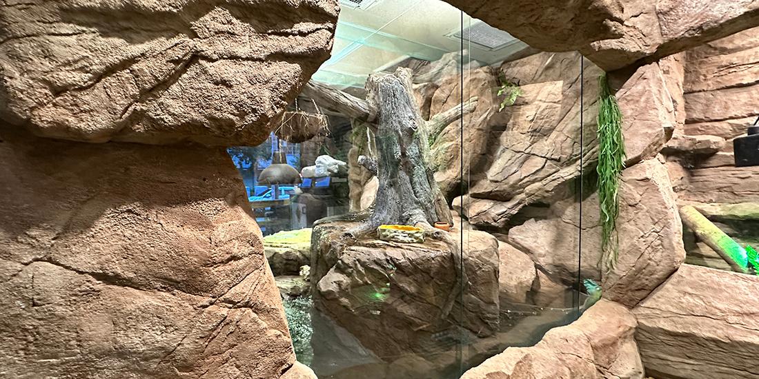 Feipien Dream Mall