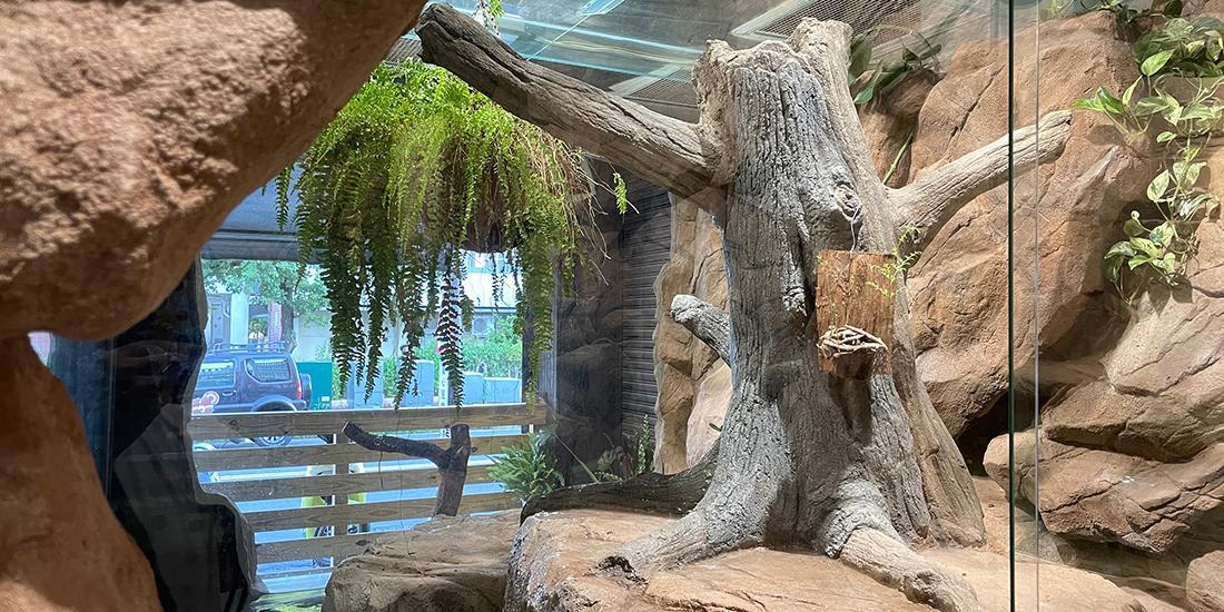 Feipien Dream Mall