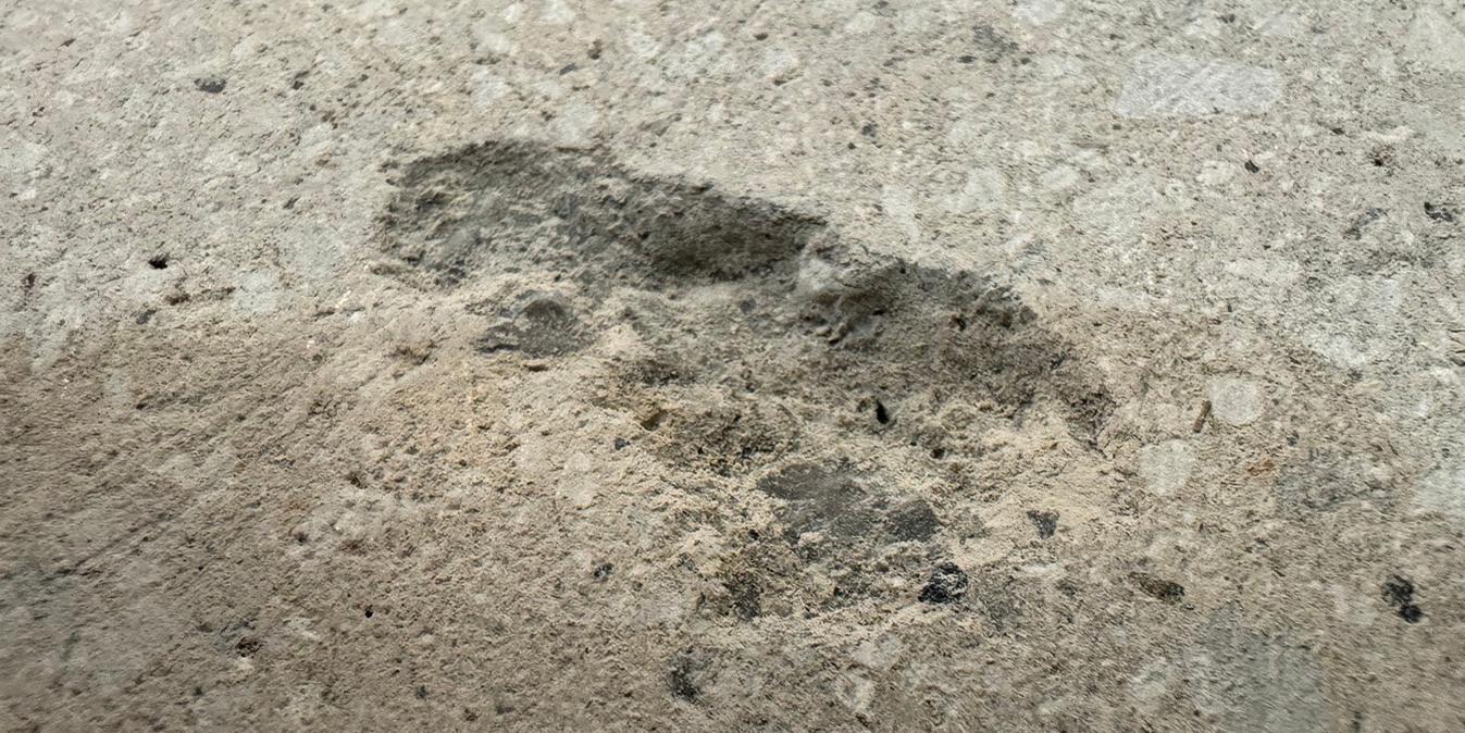 Pin Holes Repairing in Okinawa