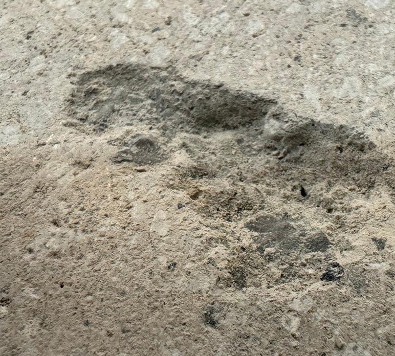 Pin Holes Repairing in Okinawa