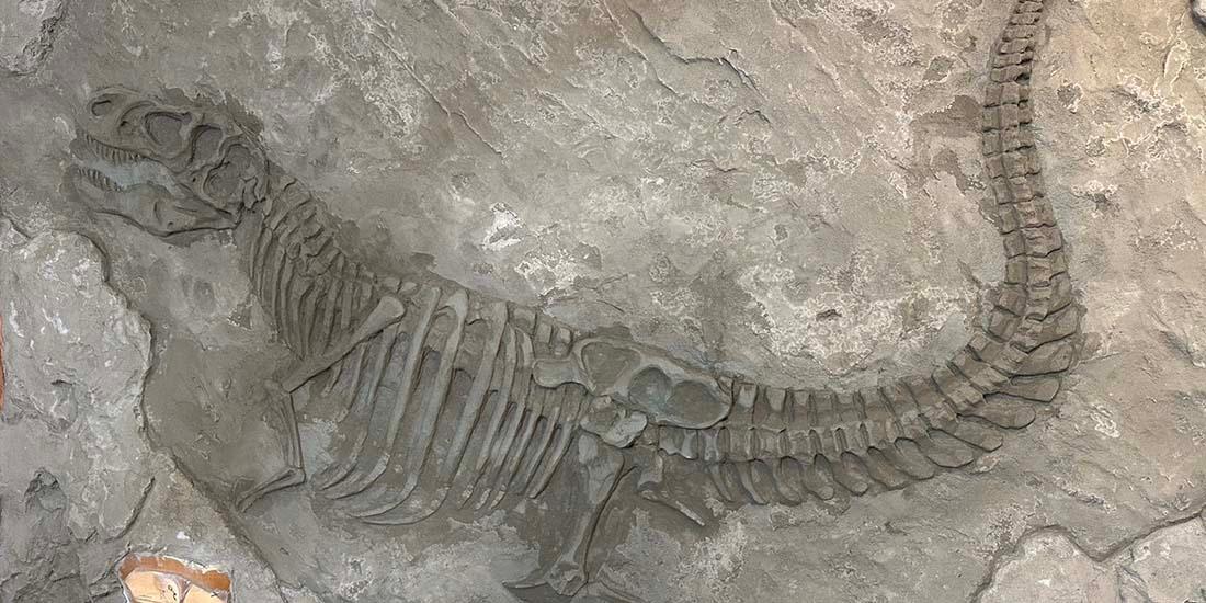 Dinosaur Fossil Sculpture