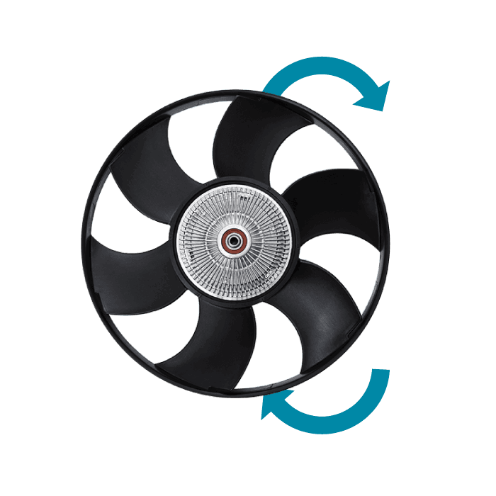 Fan