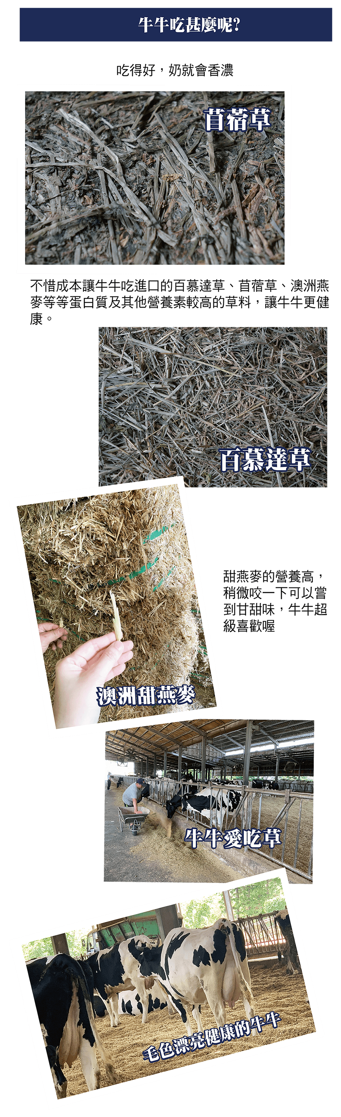 牧場介紹2-2-1100x3600.png