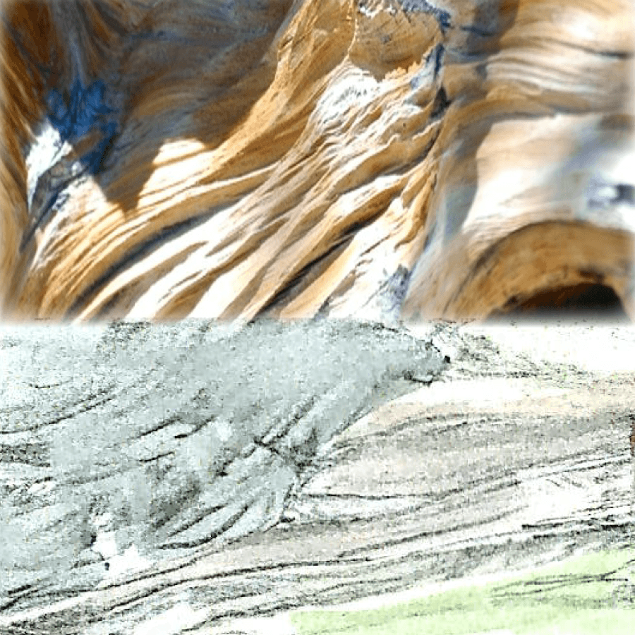 GENEVA-01.png