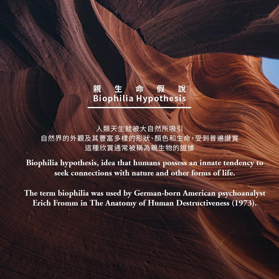 礦物廳B_SU_0120-01.jpg