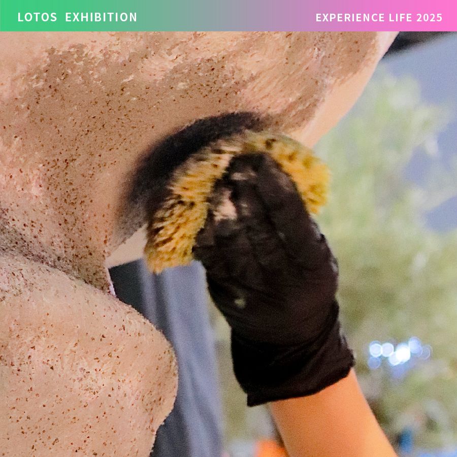 LOTOS 2025 Experience Life-17.jpg
