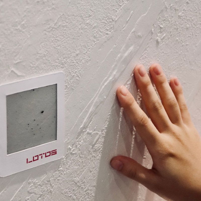 2025 LOTOS EXHIBITION