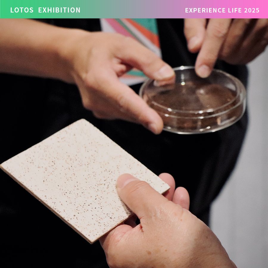 LOTOS 2025 Experience Life-06.jpg