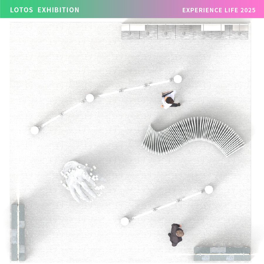 LOTOS 2025 Experience Life-04.jpg