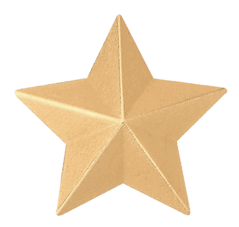 星型徽章