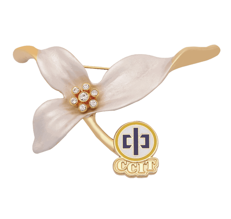 CCIT Brooch