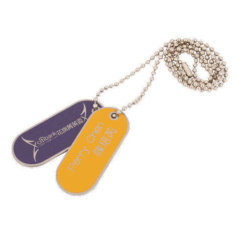 Citibank Necklaces