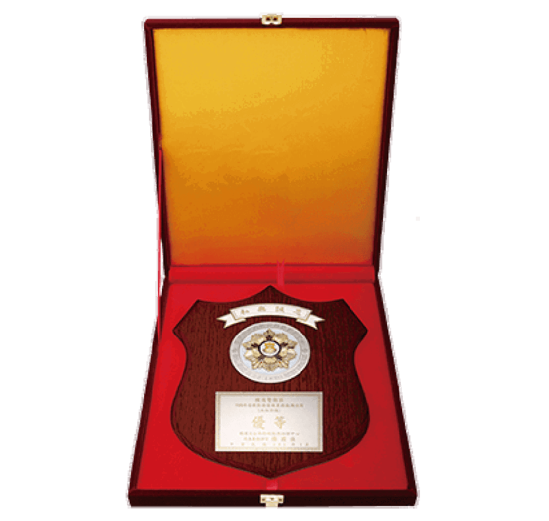 NSB Medal Plaque