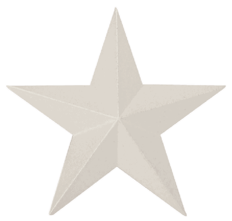 Star Badge 2