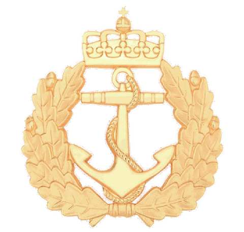 Anchor Pin
