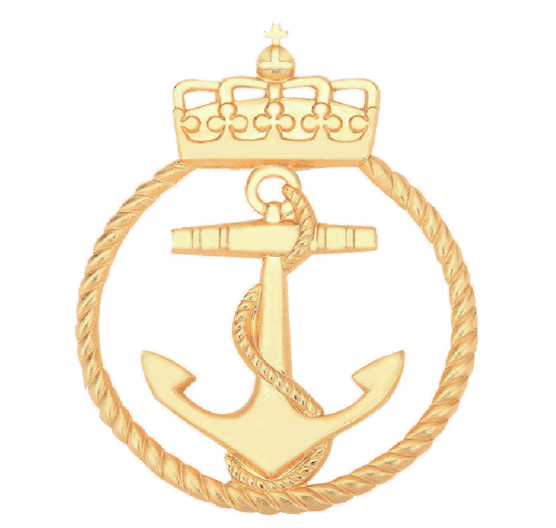 Anchor Pin