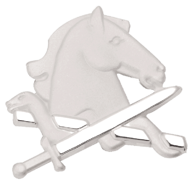 Horse Type Pin