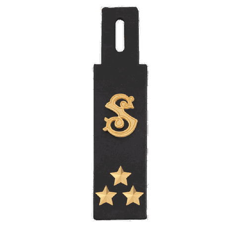 Three Star Pin