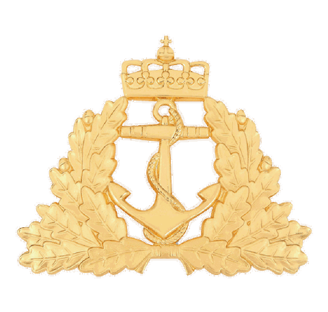 Anchor Pin