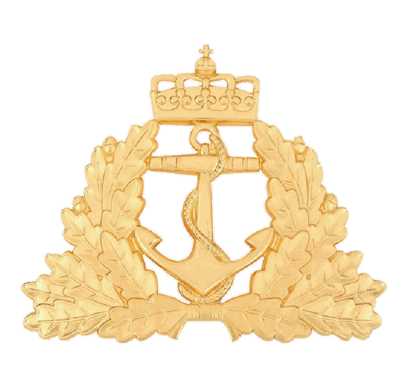 Anchor Pin